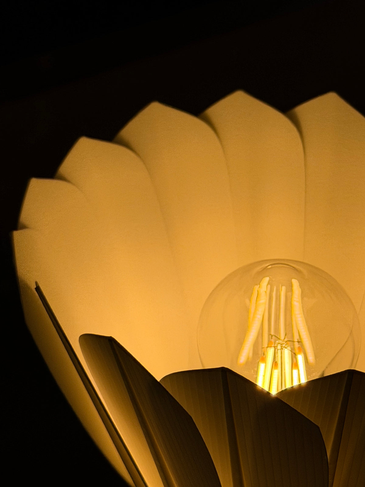 Dimmable Lamp - Olympic Badminton Shuttlecock  – LED Desk Light